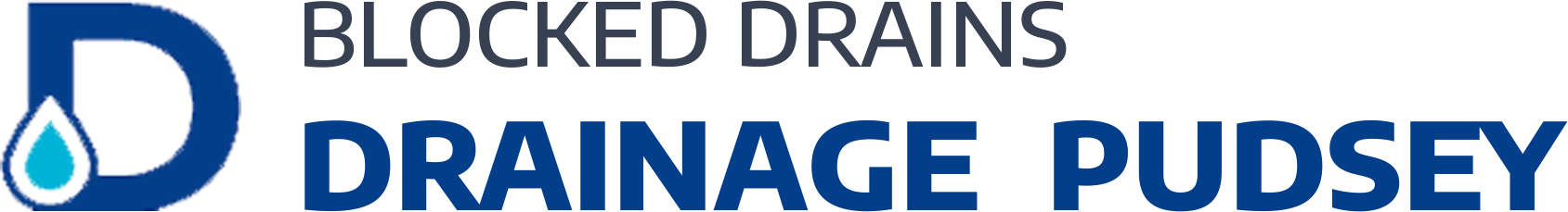 website logo